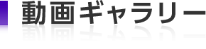動画ギャラリー